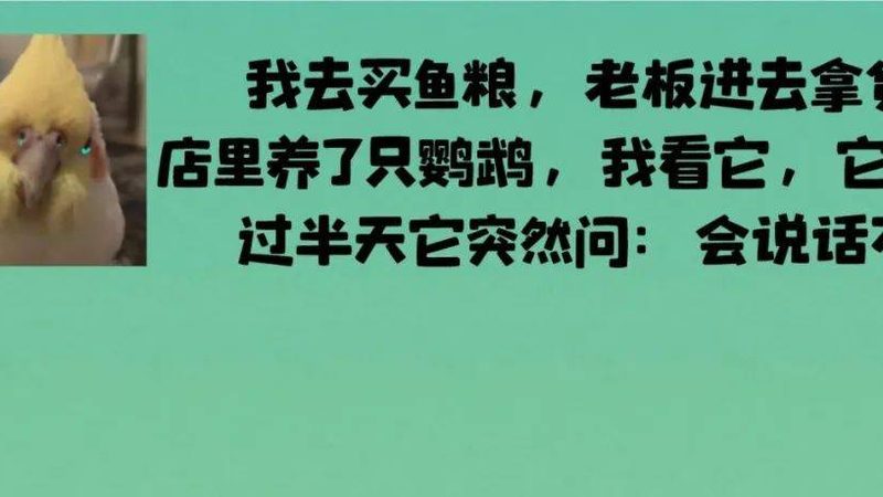 食堂食材配送报价，揭秘背后的标准与考量